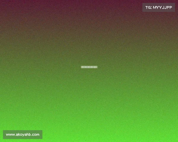 帕德博恩对汉堡比赛结果